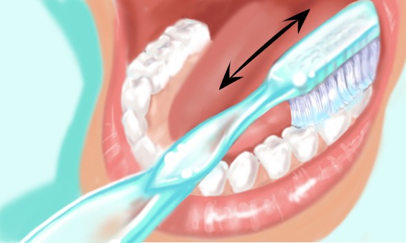 Comment se brosser les dents de la meilleure façon ?