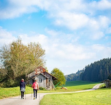 Les bienfaits du plein air et de l’activité physique pour la santé